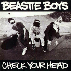 Beasti Boys 'Check Your Head'