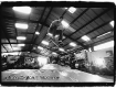 Ed Templeton at a contest in the UK circa 1997